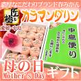 母の日ギフト ”中島 カラマンダリン匠と極&カーネーション生花” 化粧箱 12~15玉 約1.2kg【予約 5月2日~5月10日お届け予定】 送料無料