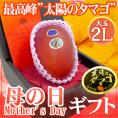 母の日ギフト 宮崎マンゴー ”太陽のタマゴ” 大玉2L 化粧箱入り【予約 5月2日～5月10日お届け予定】