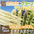 ”グリーン＋ホワイトアスパラガスセット” 訳あり 約500g＋約500g（計約1kg）北海道/長野/広島/佐賀/福岡 など産地厳選【予約 7月末以降】 送料無料