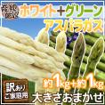 ”グリーン＋ホワイトアスパラガスセット” 訳あり 約1kg＋約1kg（計約2kg）北海道/長野/広島/佐賀/福岡 など産地厳選【予約 7月末以降】 送料無料