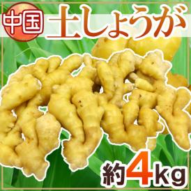 ”土しょうが” 約4kg 肉厚！！土生姜/老生姜/ひね生姜/古根ショウガ/中国産