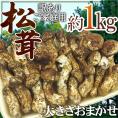 ”中国産 松茸” 約1kg 訳あり 開き方・大きさおまかせ【予約 7月～8月以降】 送料無料