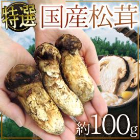 ”国産松茸” 約100g 大きさおまかせ 産地厳選【予約 9月下旬以降】 送料無料