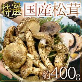 ”国産松茸” 約400g 大きさおまかせ 産地厳選【予約 9月下旬以降】 送料無料