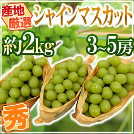 ”シャインマスカット” 秀品 3～5房 約2kg 産地厳選【予約 8月下旬以降】 送料無料