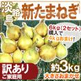 ”兵庫県 淡路島産 新たまねぎ” 訳あり 約3kg《2セット購入で4kgおまけ→10kgでお届け♪》【予約 4月末以降】 送料無料