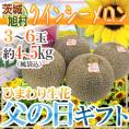 父の日ギフト &rdquo;旭村 クインシーメロン&rdquo; 秀品 3～6玉 風袋込約4～5kg＋ひまわり生花1本【予約 6月14～21日お届け予定】 送料無料