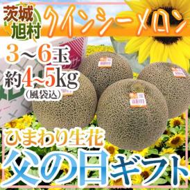 父の日ギフト ”旭村 クインシーメロン” 秀品 3～6玉 風袋込約4～5kg＋ひまわり生花1本【予約 6月9～16日お届け予定】 送料無料