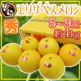 宮崎県 ”エリザベスメロン” 秀品 5～9玉 約4kg【予約 4月下旬以降】 送料無料