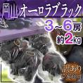 岡山産 ”オーロラブラック” 訳あり 3～6房 約2kg 化粧箱【予約 7月下旬以降】 送料無料