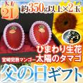 父の日ギフト &rdquo;太陽のタマゴ&rdquo; 大玉2Lサイズ 2玉＋ひまわり生花1本【予約 6月14～21日お届け予定】 送料無料