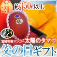 父の日ギフト ”太陽のタマゴ” 大玉2Lサイズ 化粧箱【予約 6月14～21日お届け予定】