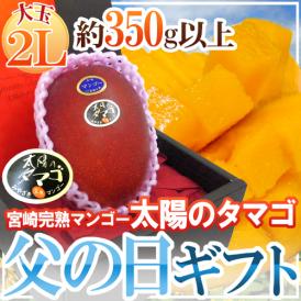 父の日ギフト ”太陽のタマゴ” 大玉2Lサイズ 化粧箱【予約 6月9～16日お届け予定】