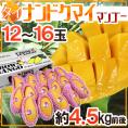 タイ産 ”ナンドクマイマンゴー” 12～16玉 約4.5kg前後 航空便 ゴールデンマンゴー【予約 3月中旬以降】 送料無料