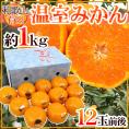 和歌山県産 ”温室 有田みかん” 12玉前後 約1kg 化粧箱【予約 5月末以降】 送料無料