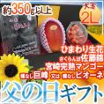 父の日ギフト &rdquo;佐藤錦＋種なし巨峰or種なしピオーネ＋宮崎完熟マンゴー&rdquo; 大玉2Lサイズ＋ひまわり生花1本 【予約 6月14～21日お届け予定】 送料無料