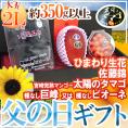 遅れてごめんね！父の日ギフト ”佐藤錦＋種なし巨峰or種なしピオーネ＋太陽のタマゴ” 大玉2Lサイズ＋ひまわり生花1本【予約 6月16日以降】 送料無料