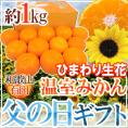 父の日ギフト ”有田 温室みかん” 秀品 12玉前後 約1kg＋ひまわり生花1本【予約 6月14～21日お届け予定】 送料無料