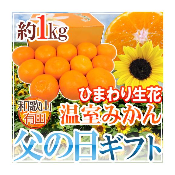 海外個人輸入 温室みかん” ”有田 父の日ギフト 秀品 約1kg＋ひまわり 12玉前後 果物