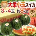 鳥取県 ”大栄小玉スイカ 姫甘泉” 3～4玉 約8kg【予約 6月以降】 送料無料