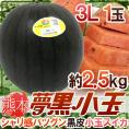 熊本県 黒皮すいか ”夢黒小玉” 秀・優品 3L 1玉 約2.5kg【予約 5月下旬以降】