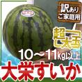 鳥取県 ”ジャンボ大栄すいか” 訳あり 特大5Lサイズ 約10～11kg 大栄西瓜【予約 6月中旬以降】