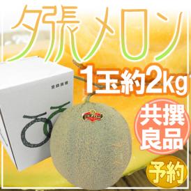 北海道 ”夕張メロン” 共撰・良品 1玉 約2kg 化粧箱【予約 7月中下旬以降】 送料無料