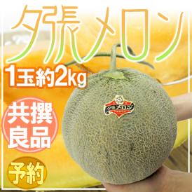 北海道 ”夕張メロン” 共撰・良品以上 1玉 約2kg バラ売り【予約 7月中下旬以降】