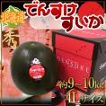 北海道当麻町 ”でんすけスイカ” 秀品 4Lサイズ 約9～10kg【予約 7月中旬以降】 送料無料
