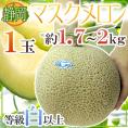 静岡県 ”マスクメロン” 等級白以上 大玉1玉 約1.7～2kg《2玉購入で送料無料》【予約 6月以降】
