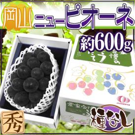 岡山産 種なしぶどう ”ニューピオーネ” 秀品 1房 約600g 化粧箱【予約 7月下旬以降】 送料無料