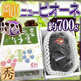 岡山産 種なしぶどう ”ニューピオーネ” 秀品 1房 超大房 約700g 化粧箱【予約 7月下旬以降】 送料無料