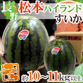 長野県 ”松本ハイランドすいか” 秀品 約10～11kg以上【予約 7月下旬以降】 送料無料