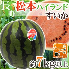 ”長野県 松本ハイランドすいか” 秀品 約7kg以上【予約 7月下旬以降】 送料無料