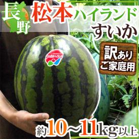 長野県 ”松本ハイランドすいか” 訳あり 約10～11kg以上【予約 7月下旬以降】 送料無料