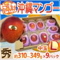 沖縄産 ”完熟マンゴー” 秀品 L 1玉×9パック 沖縄マンゴー【予約 7月以降】