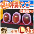”沖縄産 完熟マンゴー” 秀品 中玉L 3玉 化粧箱 沖縄マンゴー【予約 7月以降】