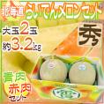 北海道メロン ”らいでんレッドメロン＋らいでんクラウンメロン” 2玉 約3.2kg 化粧箱【予約 7月末以降】 送料無料