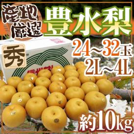 ”豊水梨” 秀品 2L～4L 24～32玉 約10kg 産地厳選【予約 8月中下旬以降】 送料無料