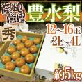 ”豊水梨” 秀品 2L～4L 12～16玉 約5kg 化粧箱 産地厳選【予約 8月中下旬以降】 送料無料