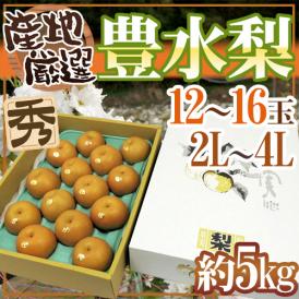 ”豊水梨” 秀品 2L～4L 12～16玉 約5kg 化粧箱 産地厳選【予約 8月中下旬以降】 送料無料