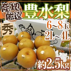 ”豊水梨” 秀品 2L～4L 6～8玉 約2.5kg 産地厳選【予約 8月中下旬以降】 送料無料