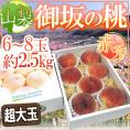 ”山梨県産 御坂の桃” 赤秀品 6～8玉 約2.5kg 化粧箱【予約 7月下旬以降】 送料無料