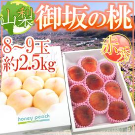 ”山梨県産 御坂の桃” 赤秀品 8～9玉 約2.5kg 化粧箱【予約 7月下旬以降】 送料無料