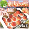 山梨県産 ”御坂の桃” 赤秀品 13～15玉 約5kg 超大玉 産地箱【予約 7月下旬以降】 送料無料