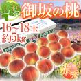 山梨県産 ”御坂の桃” 赤秀品 16～18玉 約5kg 産地箱【予約 7月下旬以降】 送料無料