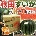 秋田県 ”秋田すいか” 秀品 約10～11kg以上【予約 7月下旬～8月以降】 送料無料