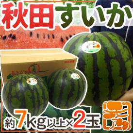 秋田県 ”秋田すいか” 秀品 約7kg以上×2玉【予約 7月下旬～8月以降】 送料無料