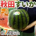 ”秋田県 秋田すいか” 秀品 約7kg以上【予約 7月下旬～8月以降】 送料無料