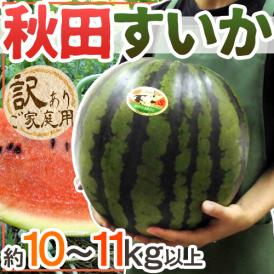 秋田県 ”秋田すいか” 訳あり 約10～11kg以上【予約 7月下旬～8月以降】 送料無料